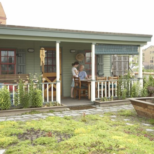 Roof top garden